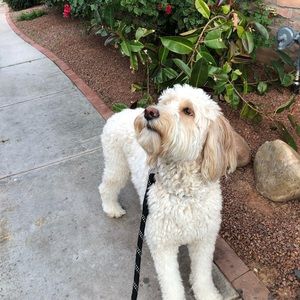 Meet your Posher, Hannah